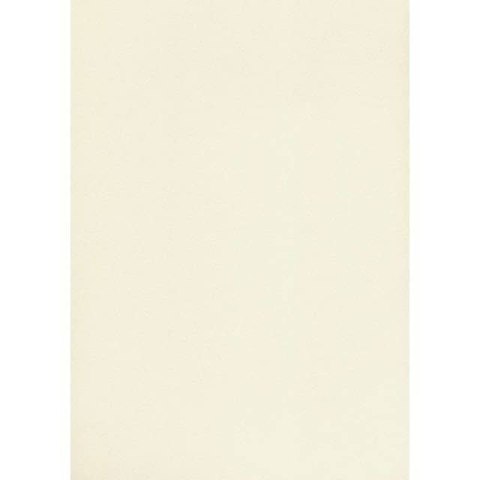 Karton wizytówkowy A4 W20 tłoczony ecrui (20 arkuszy) 246g KRESKA 910