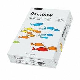 Papier xero kolorowy A4 160g j.szary R93 RAINBOW 88042791/84 (X)