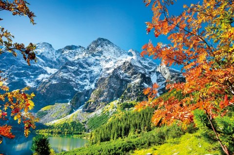 Kalendarz trójdzielny 2026 Wyspa Michalczyk i Prokop T-105T-05