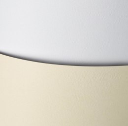 Karton ozdobny wizytówkowy A4 FLORYDA kremowy 220g (20) 200302 GALERIA PAPIERU