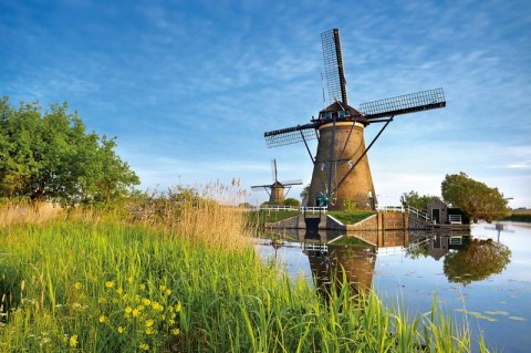 Kalendarz trójdzielny 2026 Strumień Michalczyk i Prokop T-105T-08