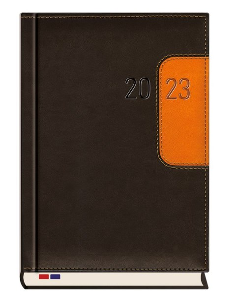 Terminarz Senator A5 2026 Michalczyk i Prokop T-240N-57 kalendarz dzienny + dodatkowe strony po zakończeniu miesiąca