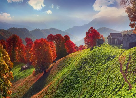 Kalendarz trójdzielny (H) 2026 Michalczyk i Prokop T-106T-11