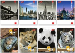 Zeszyt A5 60k laminowany gładki UNIPAP