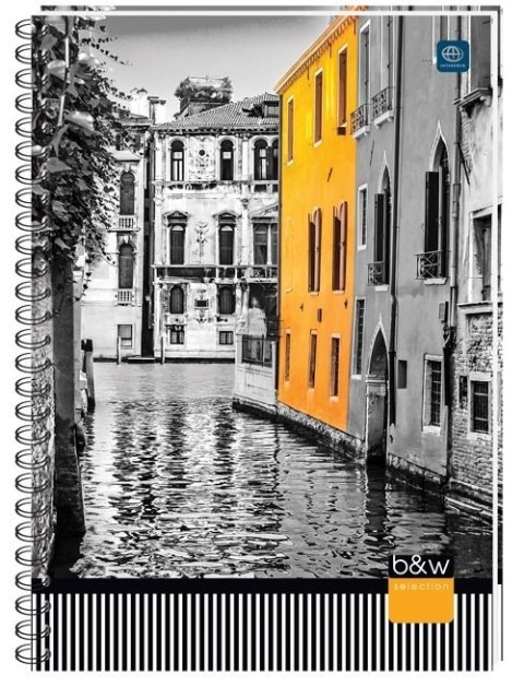 Kołonotatnik B5 160 kartek kratka Interdruk