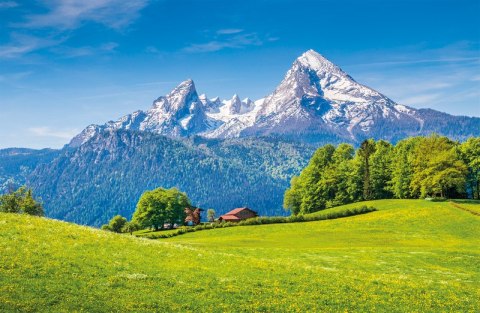 Terminarz Ścienny 2026 Michalczyk i Prokop T-107S-6 kalendarz jednodzielny