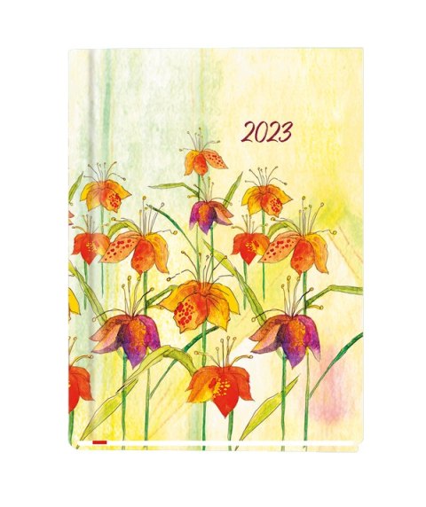 Terminarz MARTA B6 2026 Michalczyk i Prokop T-215F-01 120x165mm kalendarz 1 tydzień na 2 stronach