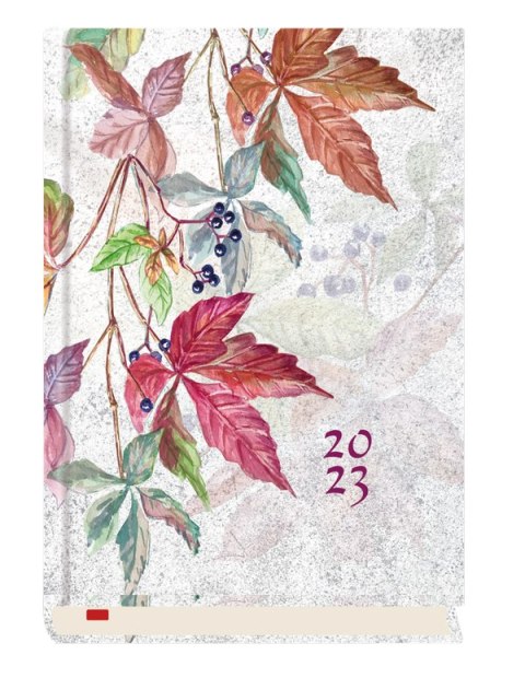 Terminarz Powszechny B6 2026 Michalczyk i Prokop T-200F-02 kalendarz dzienny