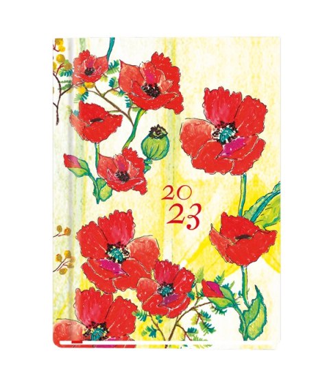 Terminarz OLA A6 2026 Michalczyk i Prokop T-212F-01 KALENDARZ tydzień na 2 stronach