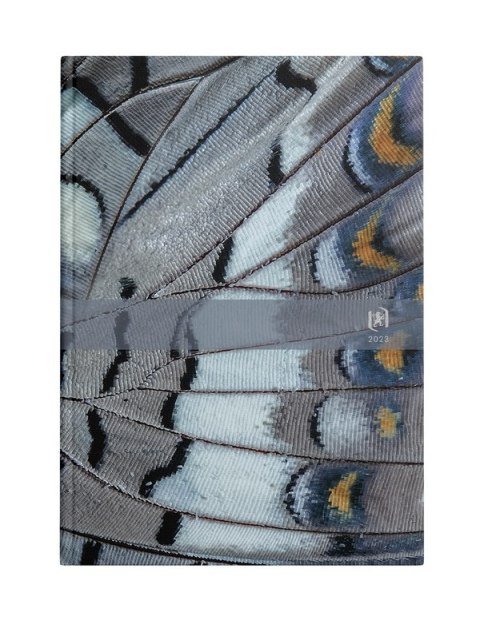 Kalendarz Oxford Wings 2023 A5 dzienny 400165174