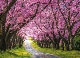 Kalendarz trójdzielny (H) 2026 Michalczyk i Prokop T-106T-05