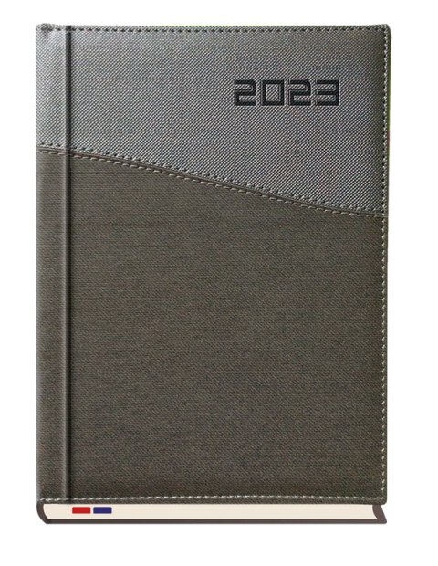 Terminarz Asesor B5 2026 Michalczyk i Prokop T-249K-52 kalendarz tygodniowy