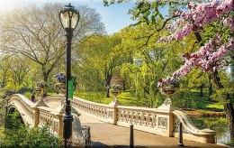 Kalendarz Trójdzielny z główką (T03) ALEJA - krem 2024 TELEGRAPH