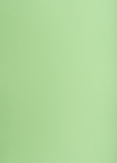 Karton kolorowy Creatinio A1 160g 25ark nr.69 groszkowy 400149556 TOP-2000