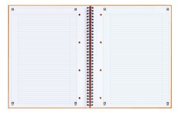 Kołonotatnik A4 80 kartek, linia / tagi, INTERNATIONAL, OXFORD, 100104036