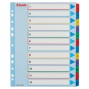 Przekładki kartonowe MYLAR A4 MAXI 1-12 ESSELTE 100209