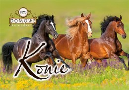 Terminarz Domowy 200x218mm 2026 - Konie Michalczyk i Prokop TW-10-6 KALENDARZ jednodzielny 200x285mm