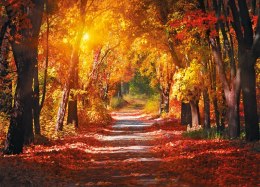 Kalendarz trójdzielny (H) 2026 Michalczyk i Prokop T-106T-02