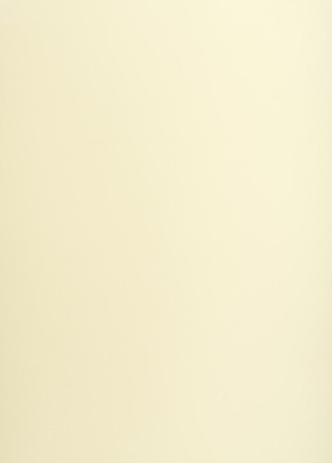 Karton kolorowy Creatinio A1 160g 25ark nr.12 kremowy 400149521 TOP-2000