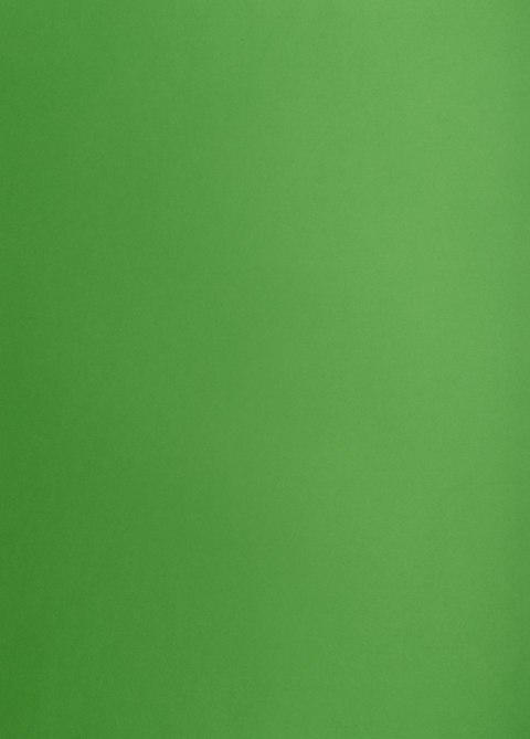 Karton kolorowy Creatinio A2 160g 25ark nr.68W j.zielony 400150193 TOP-2000