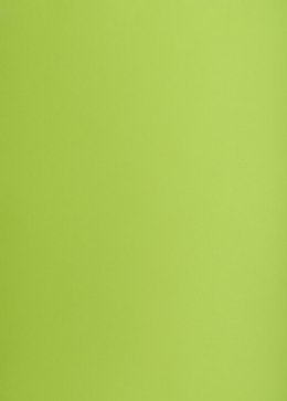 Karton kolorowy Oxford B2 225g 25ark nr.66 j.zielony 400150337 TOP-2000