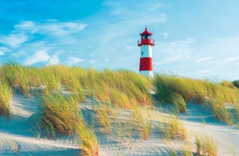 Terminarz Ścienny 2026 Michalczyk i Prokop T-107S-1 kalendarz jednodzielny