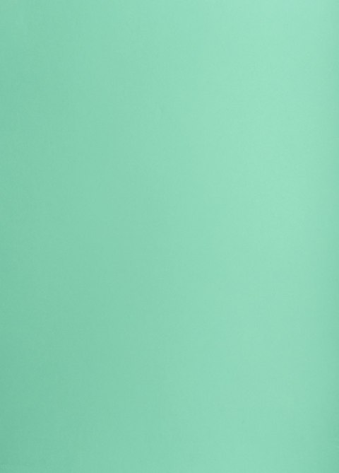 Karton kolorowy Creatinio A1 160g 25ark nr.64 seledynowy 400149554 TOP-2000 SALE