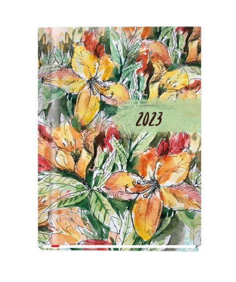 Terminarz MARTA B6 2026 Michalczyk i Prokop T-215F-03 120x165mm kalendarz 1 tydzień na 2 stronach