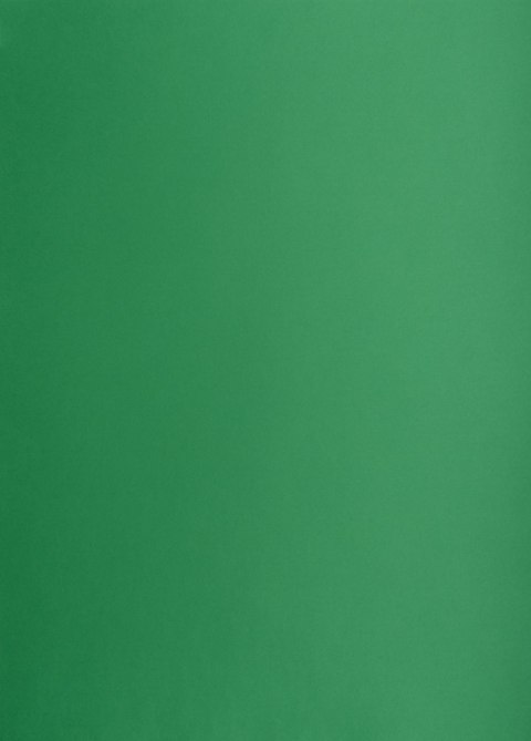 Karton kolorowy Creatinio A1 160g 25ark nr.63M c.zielony 400149561 TOP-2000