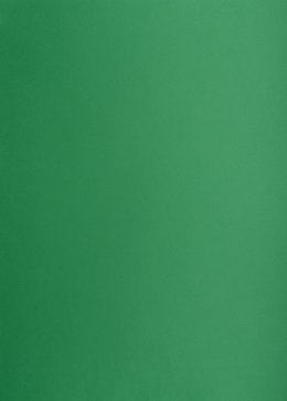 Karton kolorowy Oxford B2 225g 25ark nr.63 c.zielony 400150339 TOP-2000