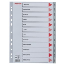 Przekładki plastikowe szare PP A4 12 miesięcy 100114 numeryczne ESSELTE