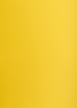 Karton kolorowy Oxford B2 225g 25ark nr.58 c.żółty 400150326 TOP-2000