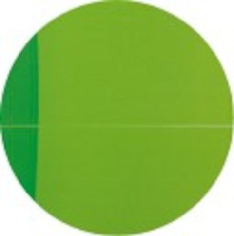 Kołonotatnik 90x140 mm 90 kartek kratka My Colours Oxford 10010232