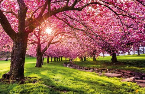 Terminarz Ścienny 2026 Michalczyk i Prokop T-107S-4 kalendarz jednodzielny