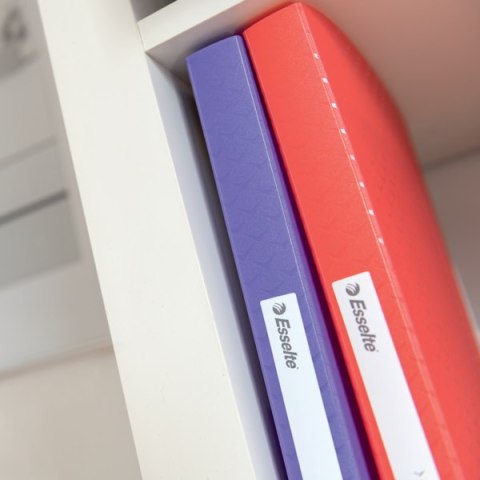 Album ofertowy Esselte ColourBreeze, z 40 koszulkami, koralowy 628441 Esselte