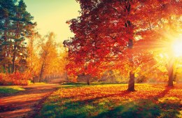 Terminarz Ścienny 2026 Michalczyk i Prokop T-107S-3 kalendarz jednodzielny