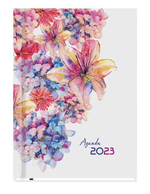 Terminarz Agenda A5 2026 Michalczyk i Prokop T-AGENDA-02 kalendarz 1 strona 1 tydzień + strona na notatki