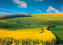 Kalendarz trójdzielny (H) 2026 Michalczyk i Prokop T-106T-09