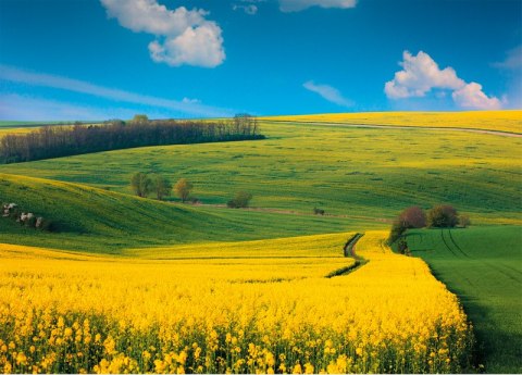 Kalendarz trójdzielny (H) 2026 Michalczyk i Prokop T-106T-09