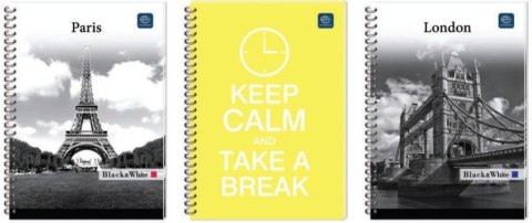 Kołonotatnik A4 100linia m.op. GARWOLIN 4 dziurki z perf.