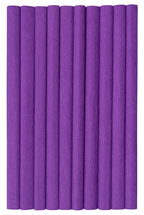 Bibuła marszczona Creatinio 50x200 purpurowy 400153901 TOP-2000