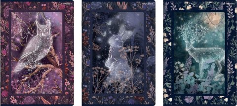 Zeszyt Top Fairytale A4 60 kartek 70 g kratka z marginesem 400181618