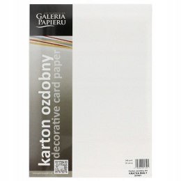 Karton ozdobny Kratka biały 20 szt./op. 240 g/m2 201621