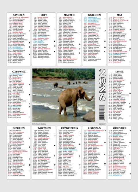 Kalendarz plakietka BESKIDY 25x35 cm mix wzorów