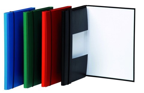 Teczka TE-2068-06 skrz/gum.zie 2073001PL-06/DONAU