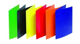 Teczka z gumka lak.DOX 2056001 -06 DONAU