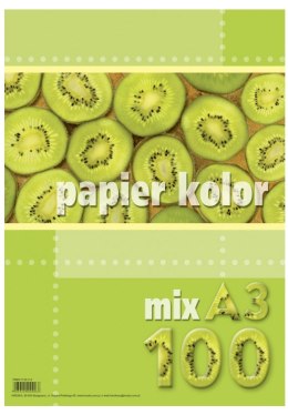 Papier xero A3 80g mix kolorów (100 arkuszy) KRESKA.