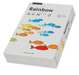 Papier xero kolorowy A4 160g 250 ark. RAINBOW R96 szary 88042813