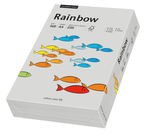 Papier xero kolorowy A4 160g 250 ark. RAINBOW R96 szary 88042813