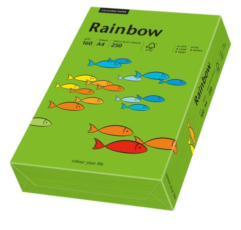 Papier xero kolorowy A4 80g 500 ark. RAINBOW R78 ciemnozielony 88042681